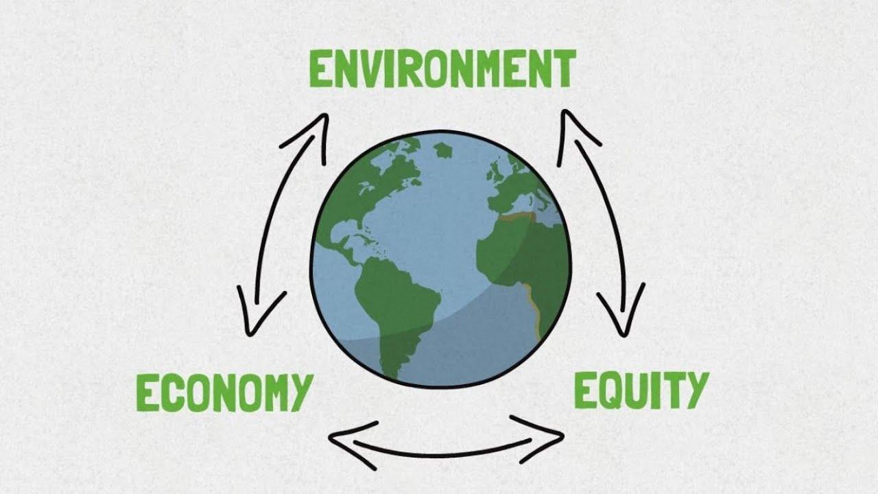 Sustainability Practices in Shipping Industry