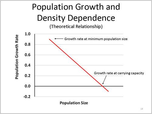 Understanding Density Rate in Logistics