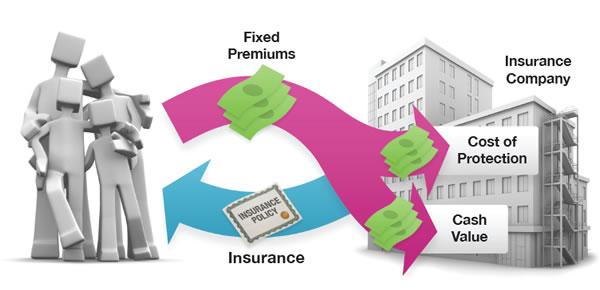 Key Considerations‍ When Selecting FPA Insurance ​for Shipping