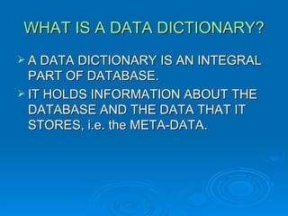 Understanding the⁢ Role ⁢of Data Dictionary in Streamlining Transport‍ Operations