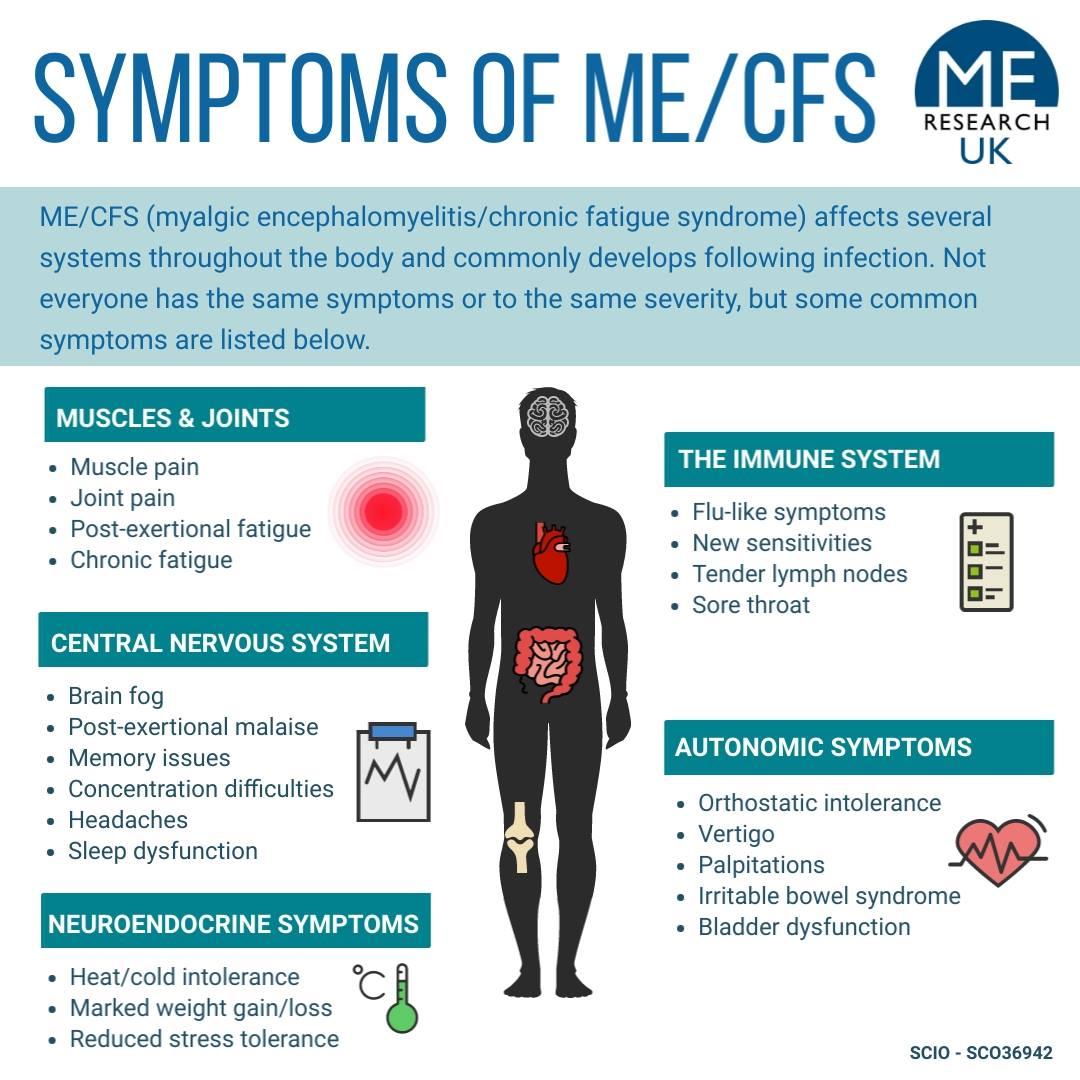 Maximizing Benefits of⁣ CFS in Shipping and Logistics Operations