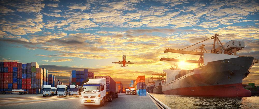 Choosing the Right Transport Option for Your Shipment