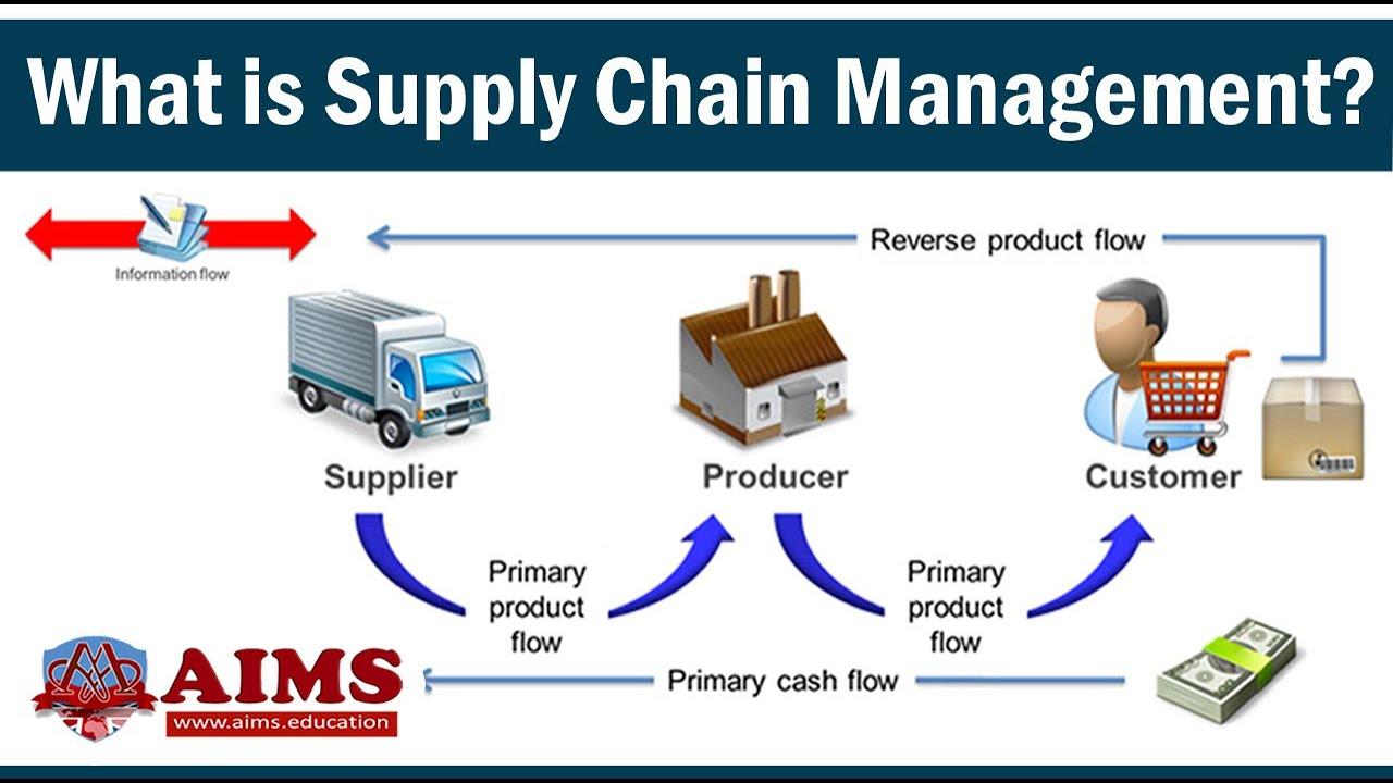 Optimizing Supply Chain Management with DTS Logistics Solutions