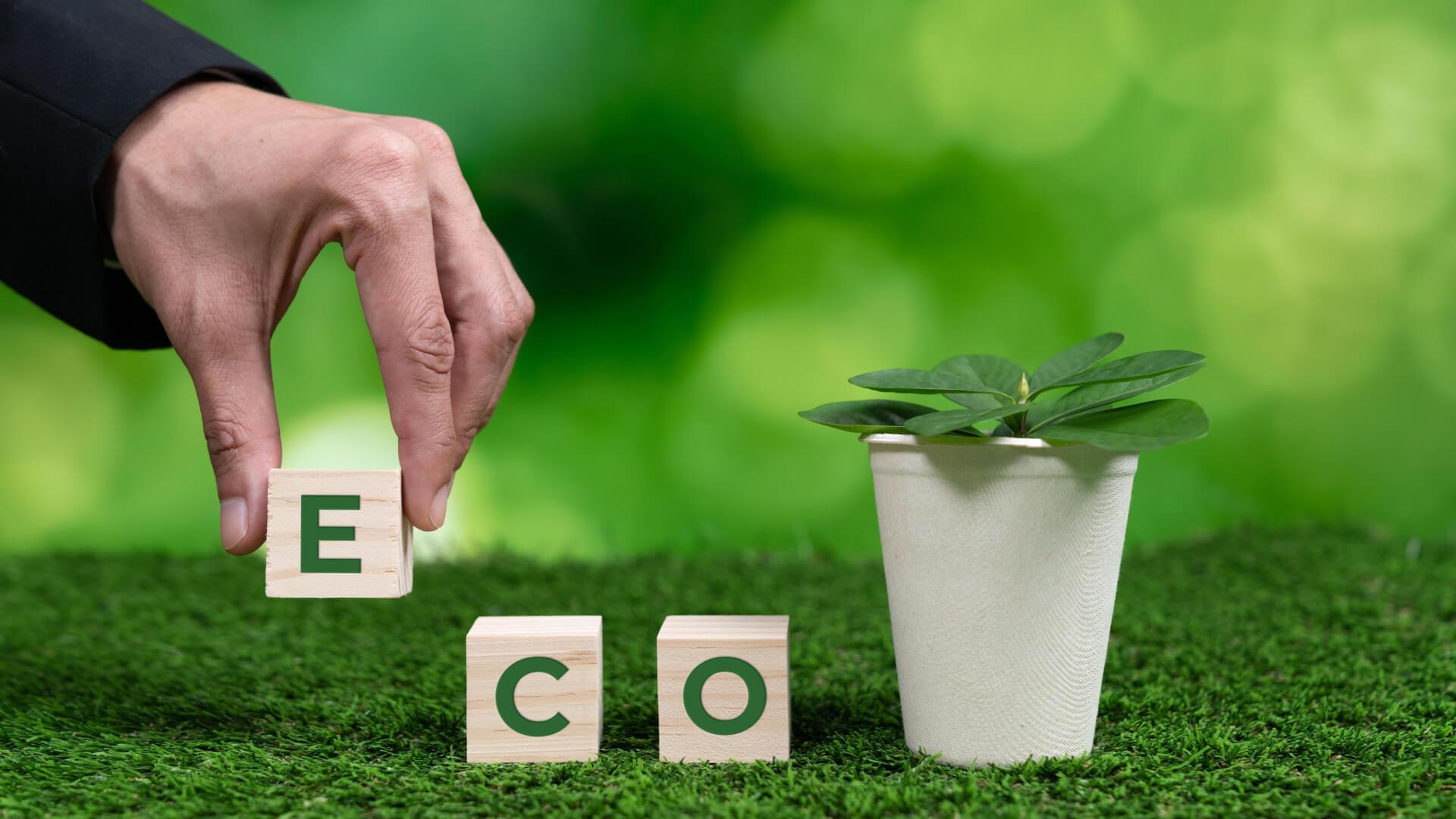 Implementing Eco-Friendly Packaging‍ Practices