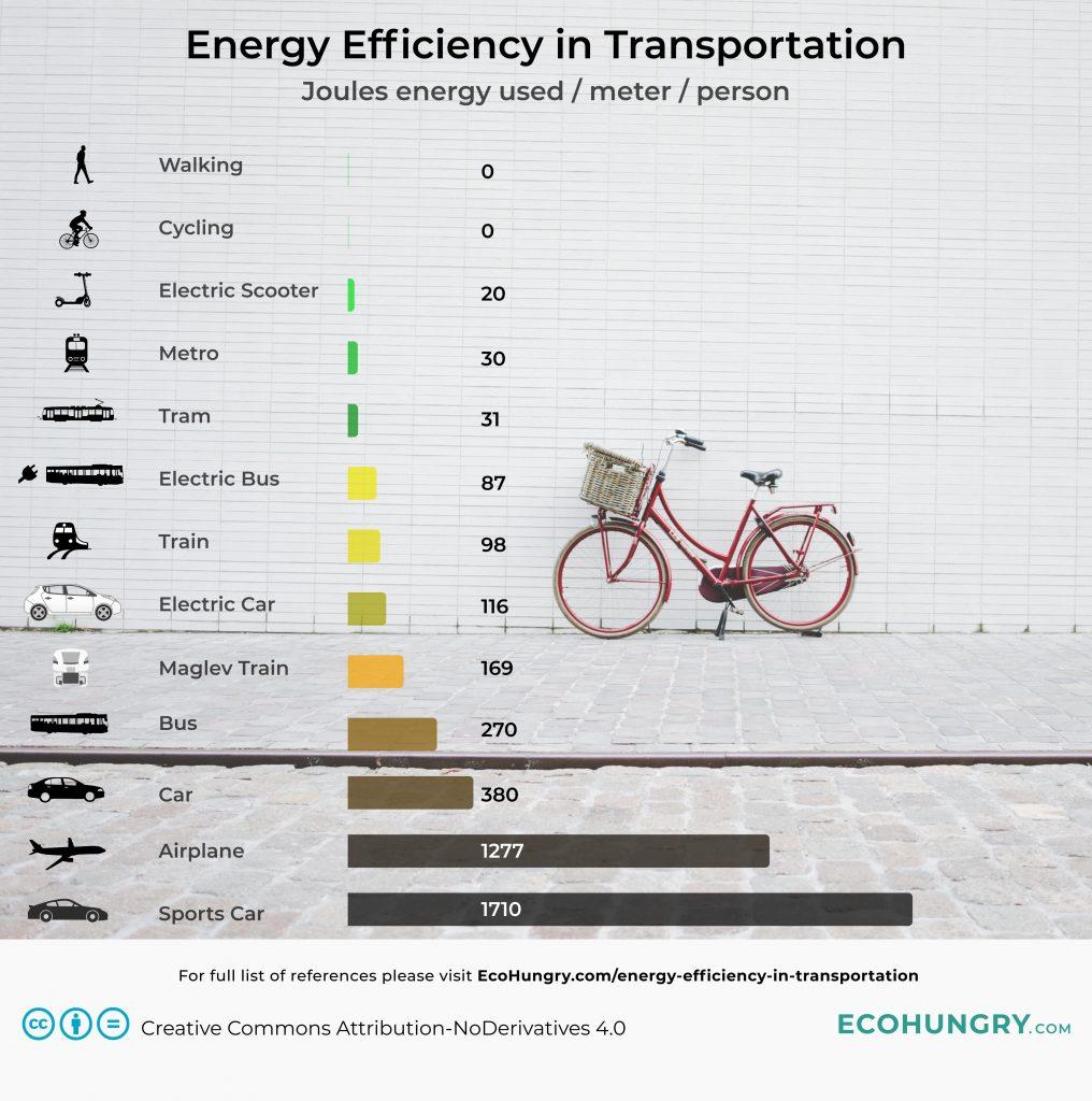 Enhancing Transport Efficiency in Shipping Processes