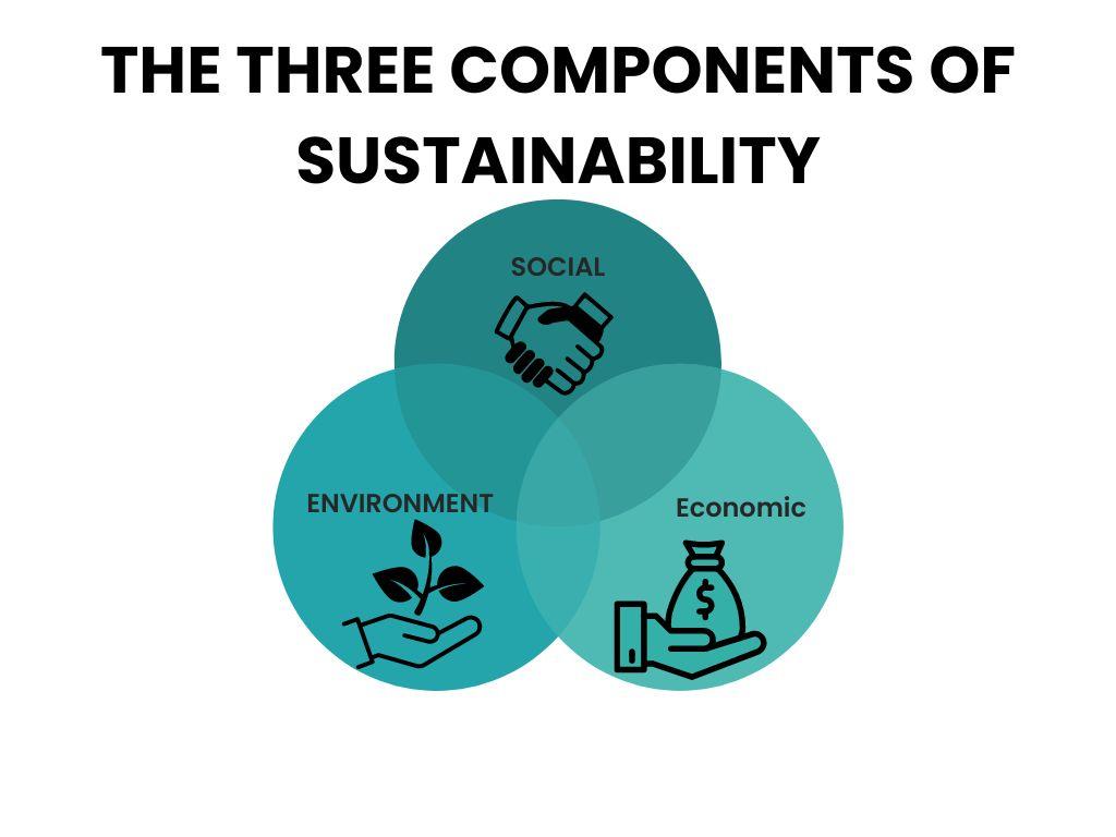 Ensuring Sustainability‌ Practices in Supply Chain Management