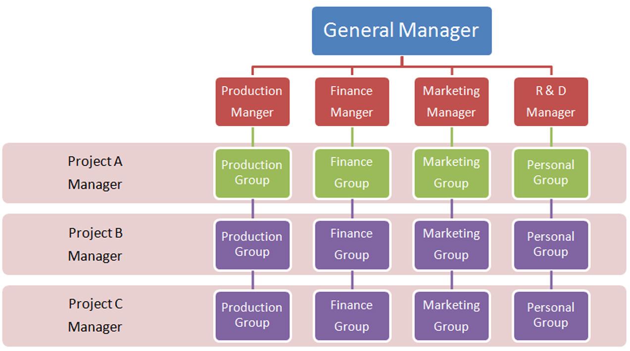 Understanding the Matrix Organizational Structure