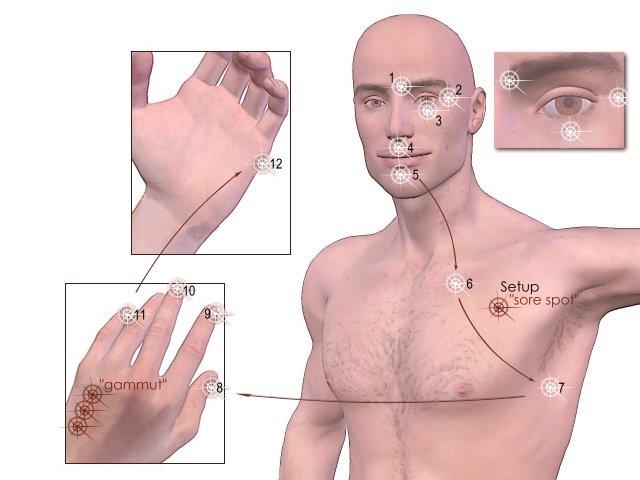 Recommendations for‌ Implementing EFT in Logistics Operations