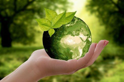 Environmental Sustainability Practices in Global Shipping Operations