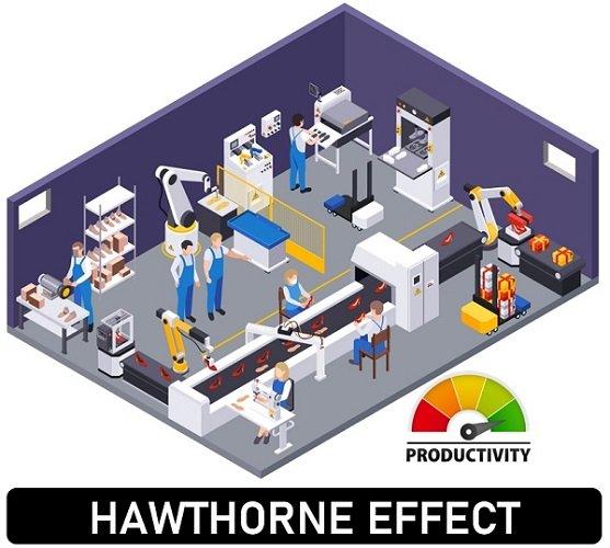 Understanding the Hawthorne Effect‍ in Logistics