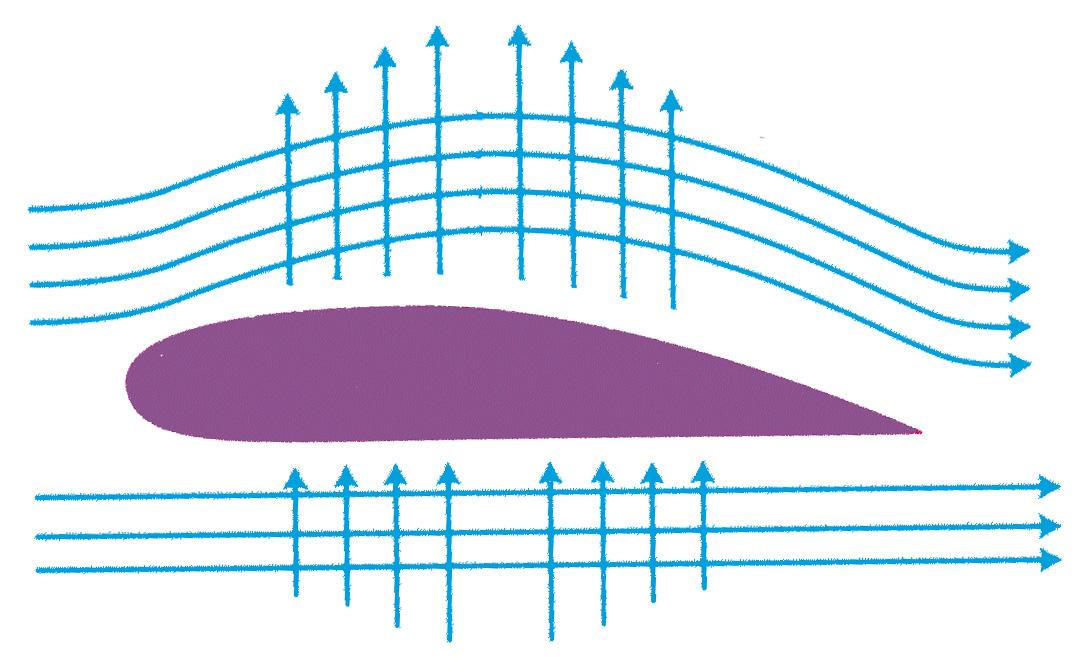 Streamlining Logistics Processes for Efficient Transport